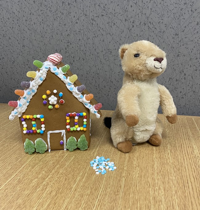 A prairie dog plushie stands next to a decorated gingerbread house, with blue and white sprinkles piled in front of it.