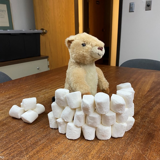 A prairie dog plushie stands behind a fort made of marshmallows.