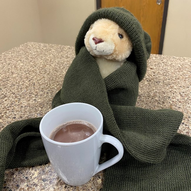 A prairie dog plushie wearing a ranger's hat and scarf with a fresh cup of hot chocolate.