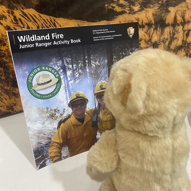 A prairie dog plushie looks at the cover of a Junior Ranger book for wildland fire.
