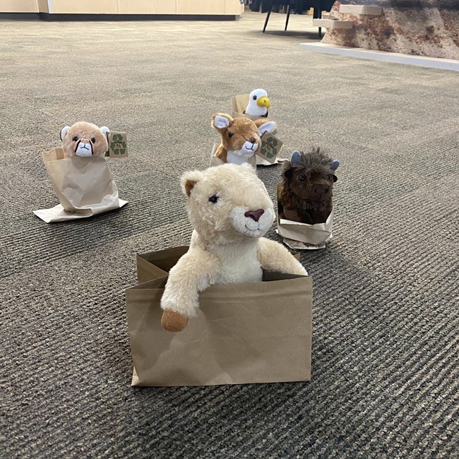 A prairie dog plushie, bison plushie, mountain lion plushie, deer plushie, and bald eagle plushie race in small paper bags on the floor of the visitor center.