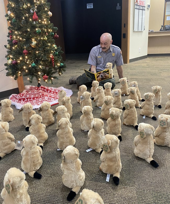 Ranger Peelee sits on the floor holding a prairie dog plushie and a book. He reads to a large group of prairie dog plushies underneath a lit Christmas tree.