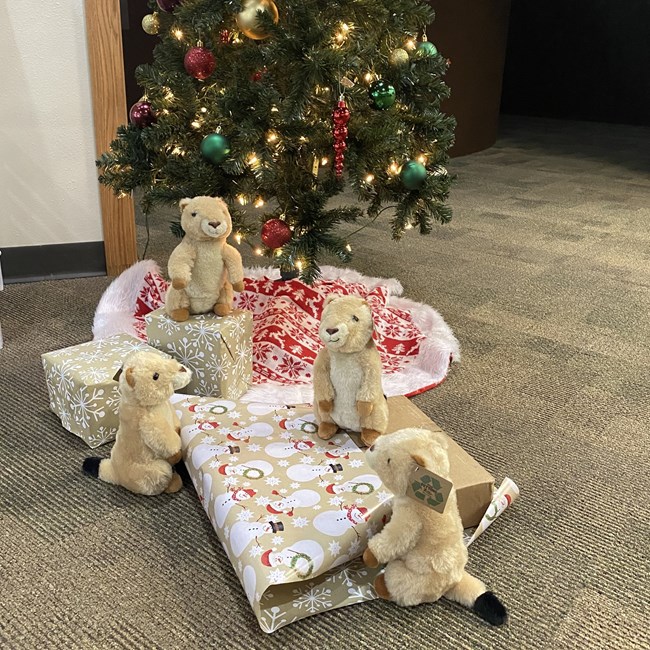 Four prairie dog plushies wrap gifts underneath a lit Christmas tree.