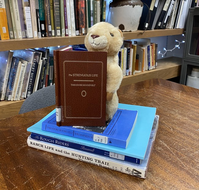 A prairie dog plushie sits on a stack of books written by Theodore Roosevelt while reading a copy of "The Strenuous Life".