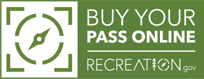 Buy Your Pass Online logo with compass
