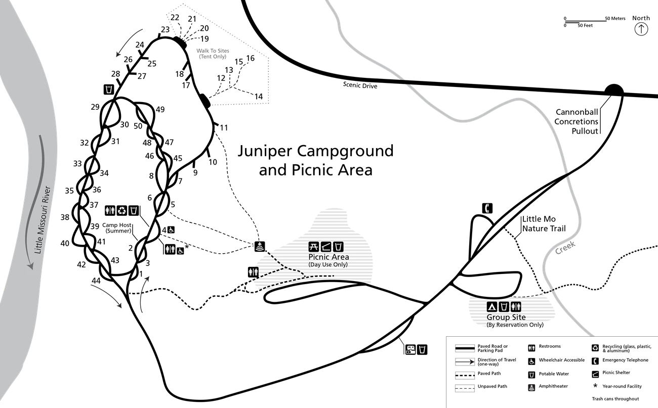 A line drawing map of a campground with two loops, a picnic area, and a group site