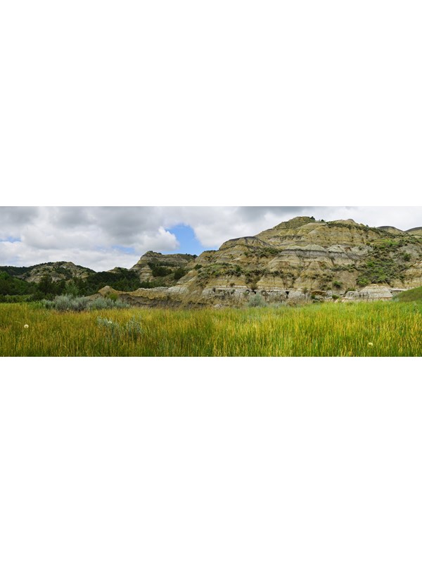 A swath of tall green and yellow grass in front of colorfully striped badlands buttes