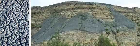 A closeup of blue-gray bentonite clay with a popcorn-like texture, and a hillside with swaths of bentonite that have flowed down when the clay was wet