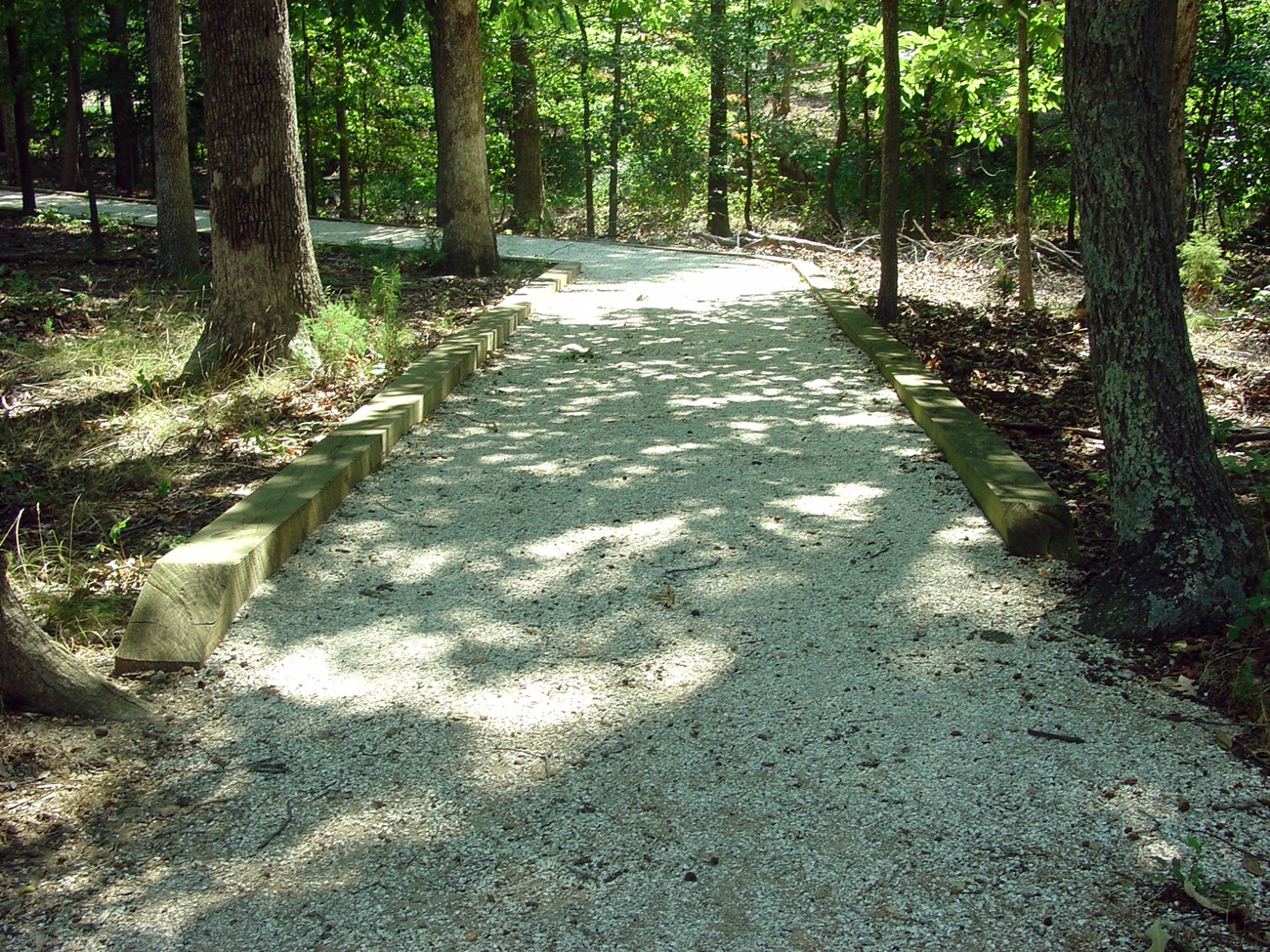 Boardwalk to Cemetery