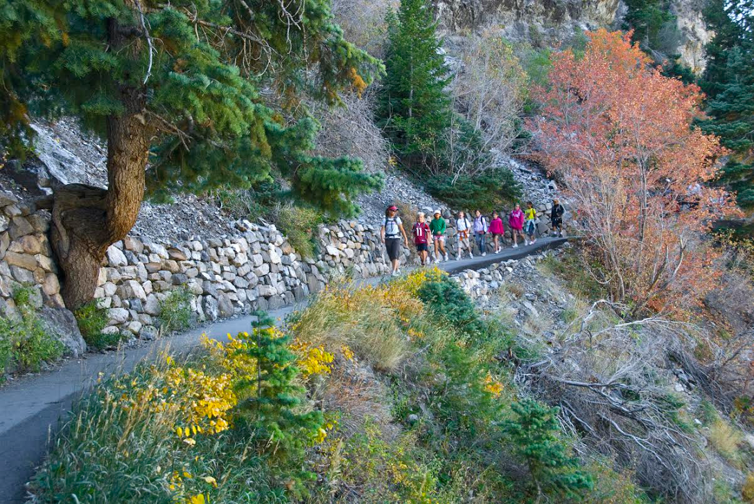 Students hike past autumn leaves on trail