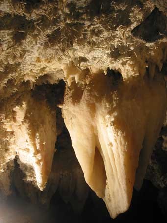 Close-up of the Great Heart, a formation resulting from several stalactites coming together.