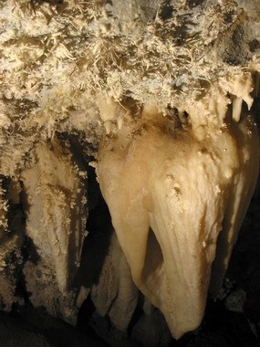Photo of Heart of Timpanogos Cave Photo of Heart of Timpanogos Cave