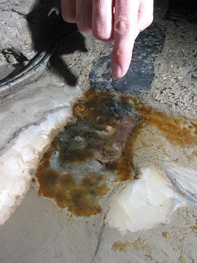 Cave Microbes