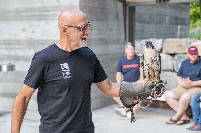 A man with a falcon on his hand stands in front of a crowd