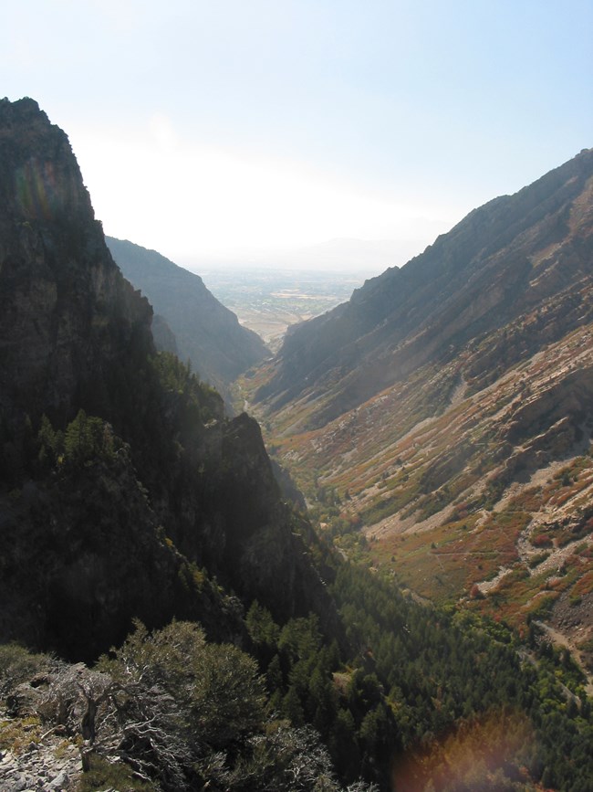 Scenic view looking down canyon from the cave trail