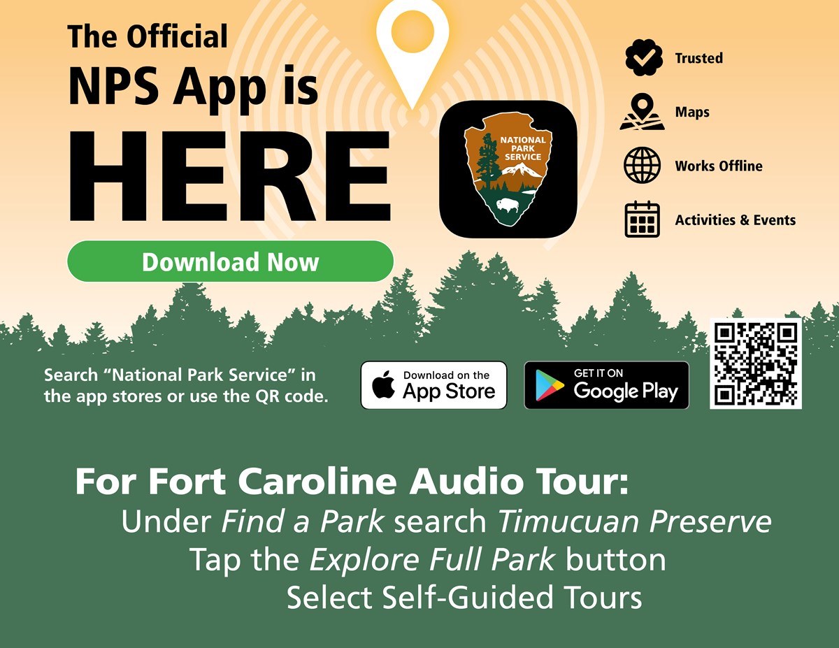 a flyer for the audio tour with a QR code graphic of trees and Apple and Android symbols