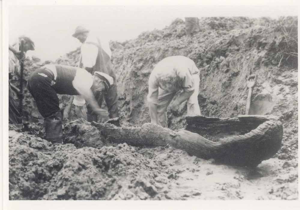 Uncovering a Timucuan Canoe black and white historic photo of people digging up a wooden canoe