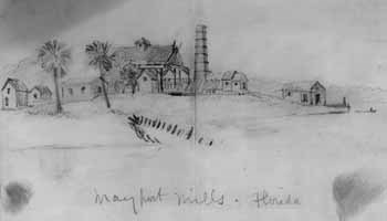 1864 sketch of Mayport that shows buildings, palm tree, silo, and remnants of a wrecked ship.