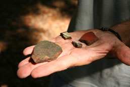 Image of outstretched hand holding four vessel fragments. Person's t-shirt is visible and background appears dark.