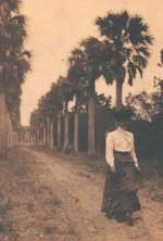 Historic photograph, late 19th century, of a woman walking on Palmetto Avenue Historic photograph, late 19th century, of a woman walking on Palmetto Avenue
