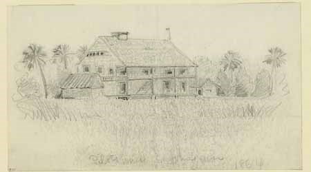 1864 sketch of Batton Island Pilot House. Sketch shows house surrounded by palm trees and marsh like grass.