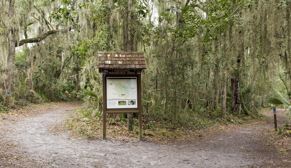trails and trail map