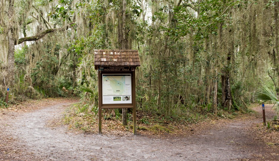 trails and trail map