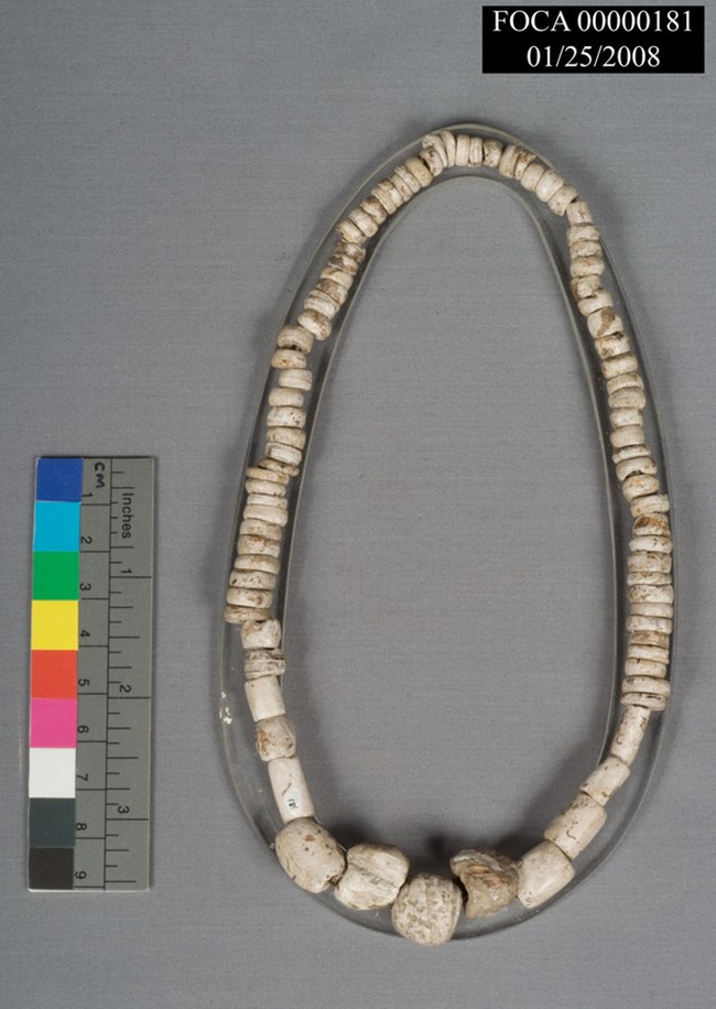 museum photo of a shell bead necklace with scale