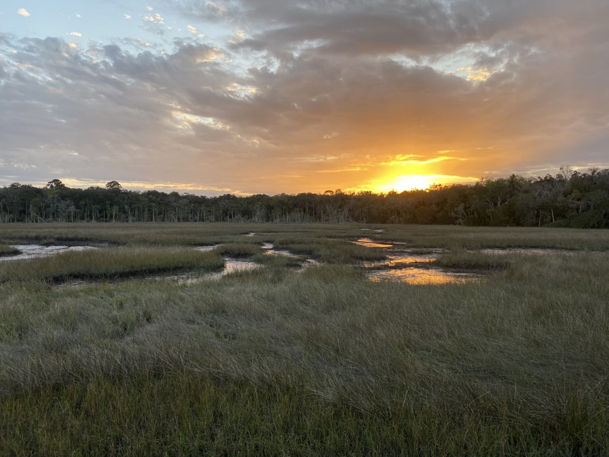 Image of salt marsh at sunset