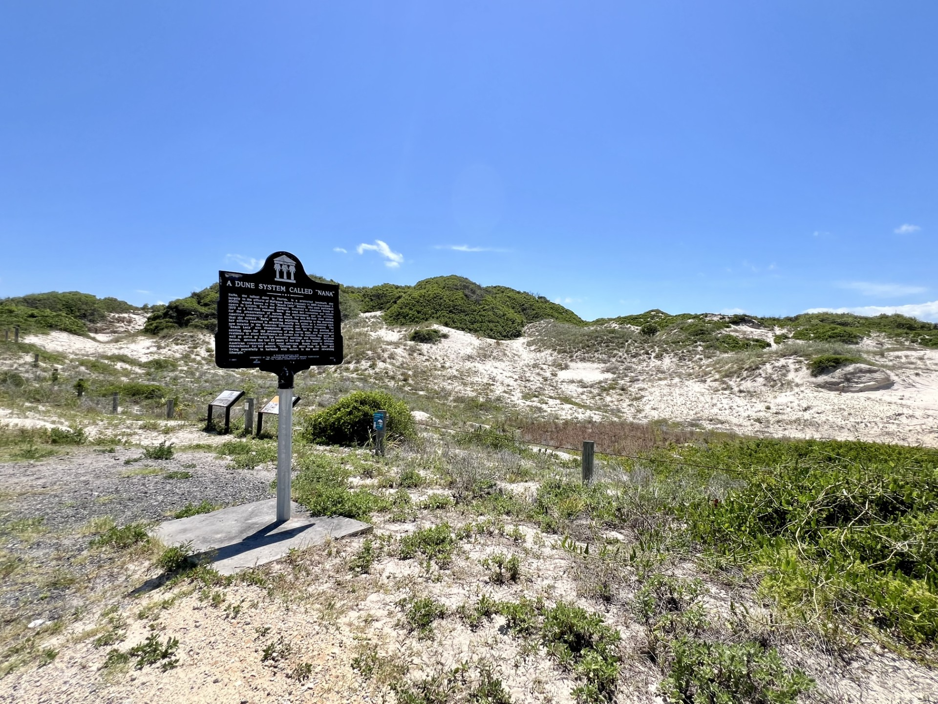 A very tall sand dune rises up towards the sky; it is covered in shrubs and small plants.