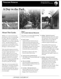 A Day in the Park newsletter cover picture A Day in the Park newsletter cover picture