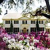 Azaleas in bloom in front of the Ribault Club