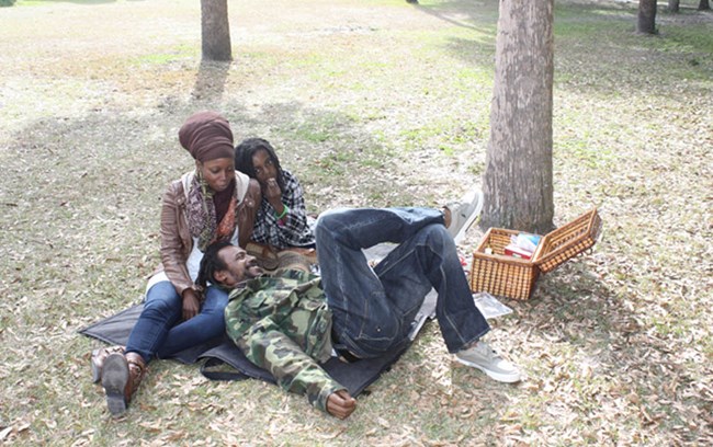 family having a picnic