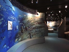 Timucuan Preserve Visitor Center exhibits photograph