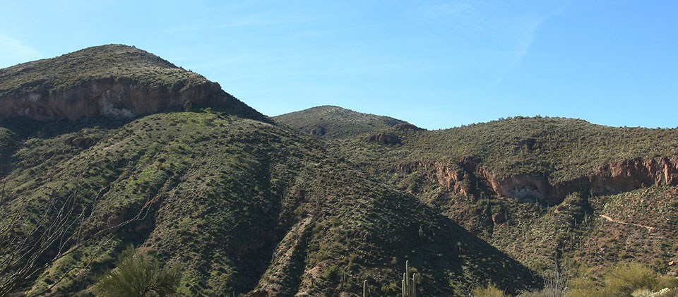 The Upper and Lower Cliff Dwellings set in hillside surrounded by green desert vegetation.