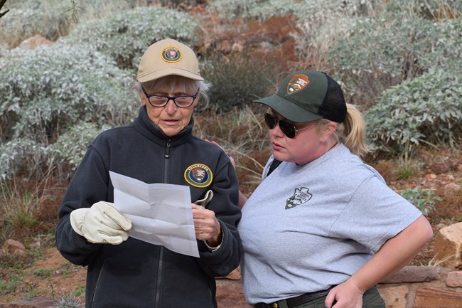 Park Volunteer and NPS Employee read from a piece of paper