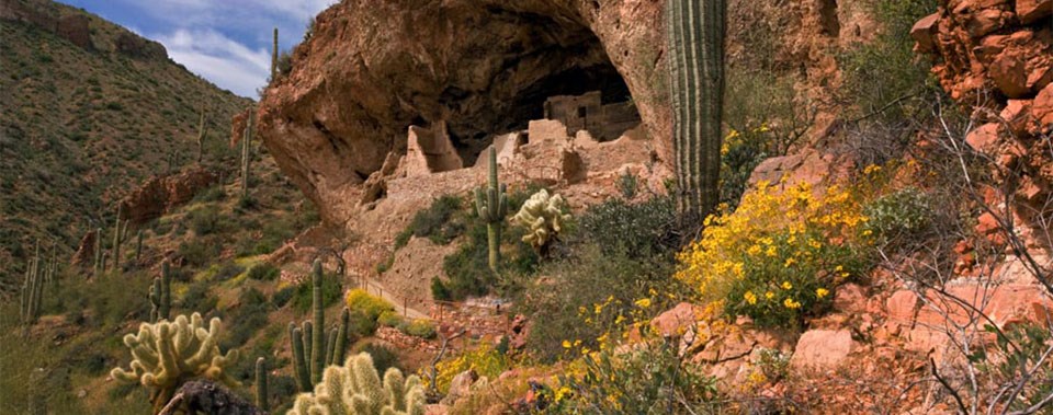 Lower Cliff Dwelling with wildflowers.