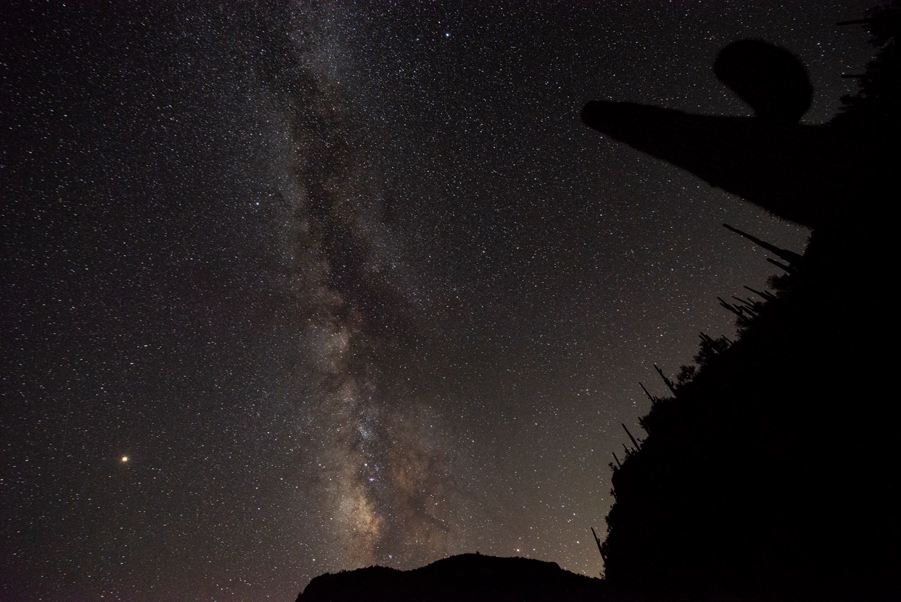 An Saguaro cactus under the Milky Way.