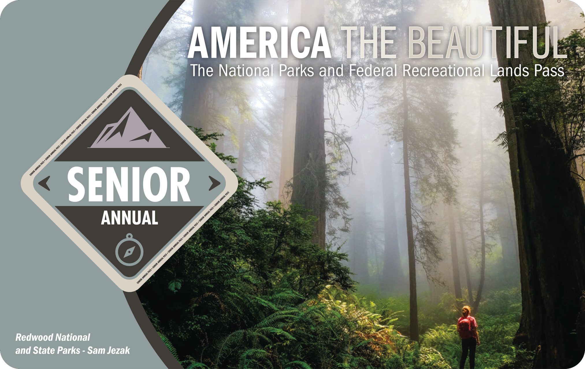 Senior Annual pass with image of person looking up in a forest.