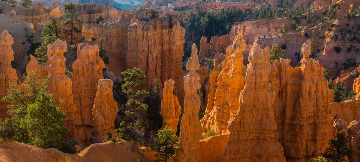 Red rock formations as seen from above on the Fairyland Loop Trail