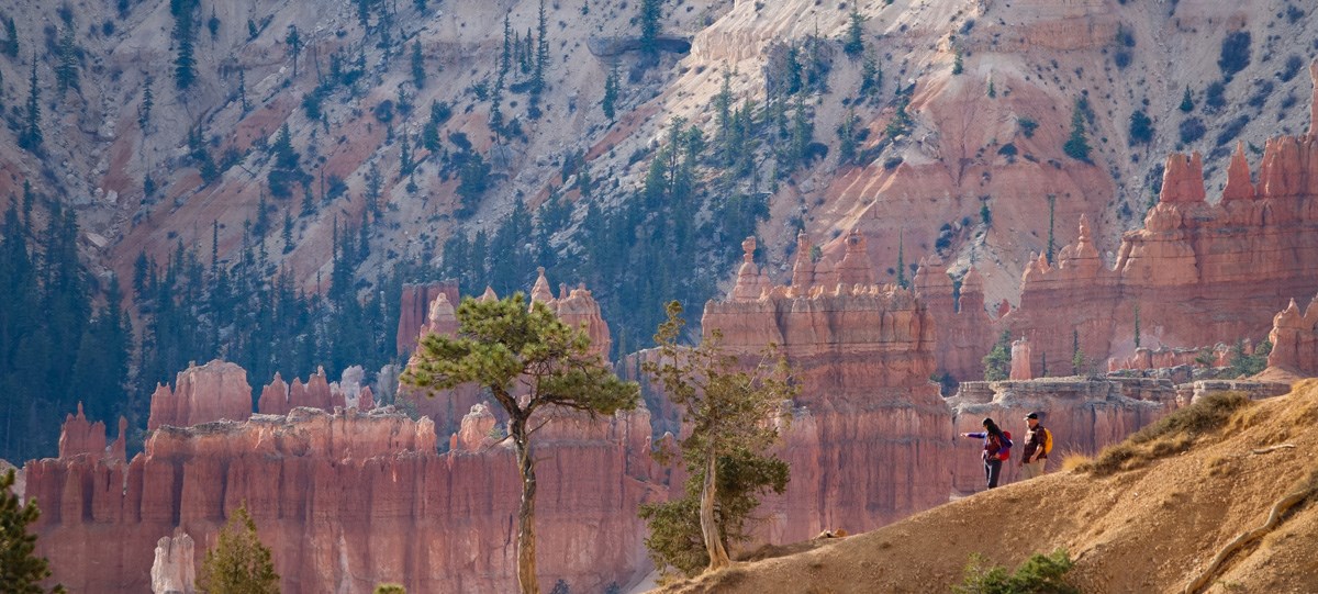 Two hikers descend a trail surrounded by red rock formations