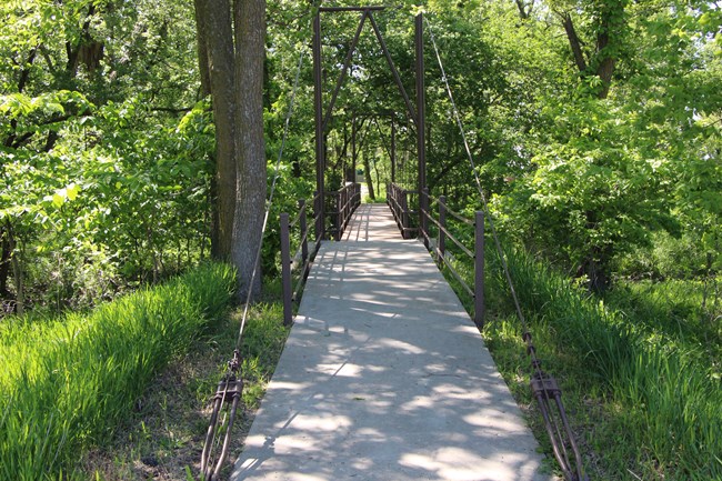 A bridge in the middle of a forest going over Cub Creek.