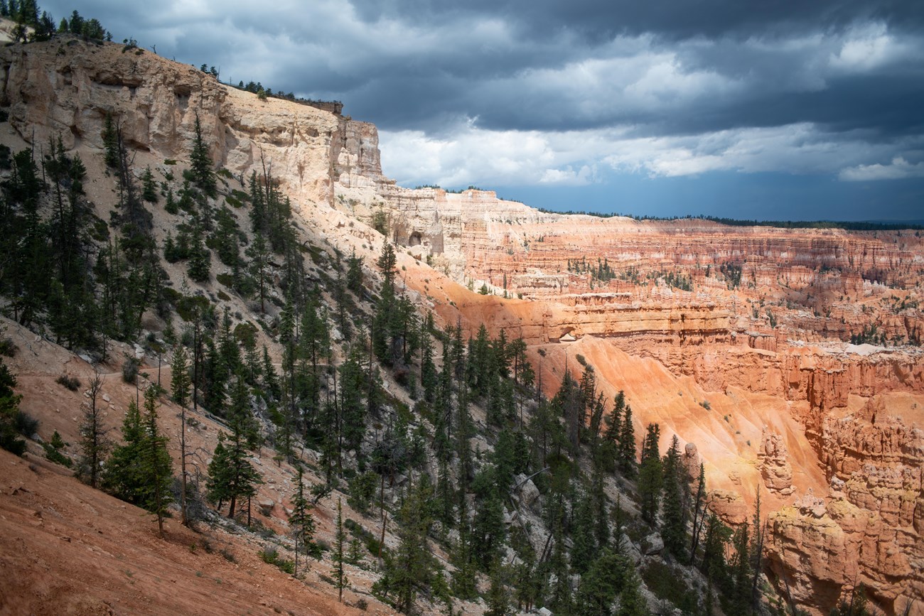 A mountain slope descends into a canyon filled with red rock formations