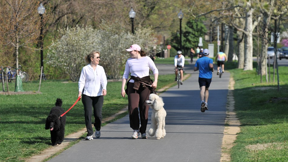 Visitors walking dogs on path in Rock Creek Park. Visitors walking dogs on path in Rock Creek Park.