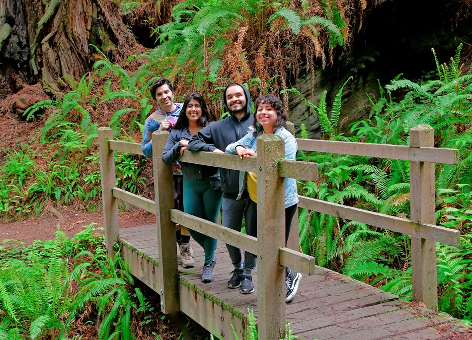 Four adults stand on a hikers' bridge in a redwood forest. Four adults stand on a hikers' bridge in a redwood forest.