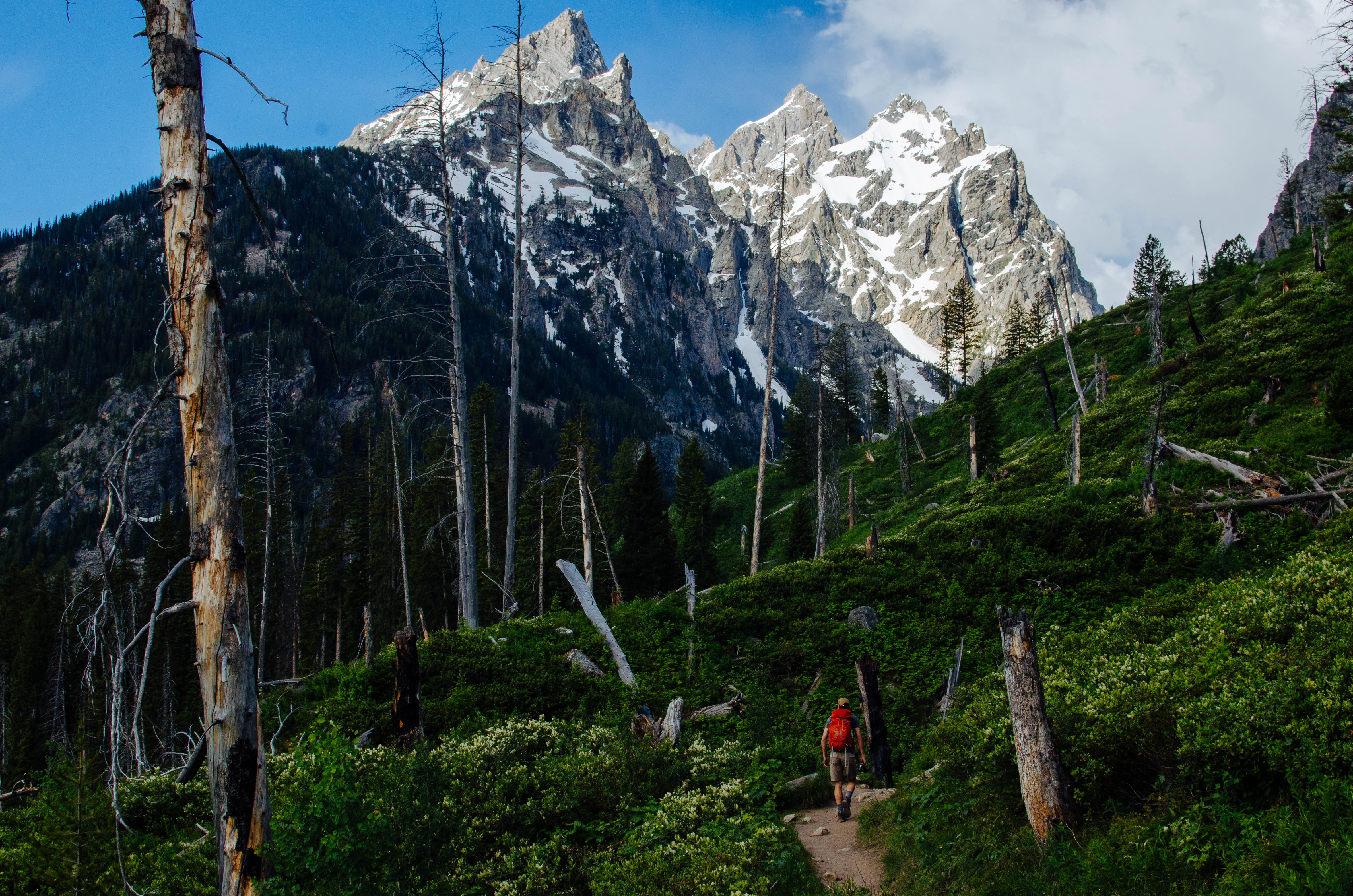 jenny lake trail grand teton national park
