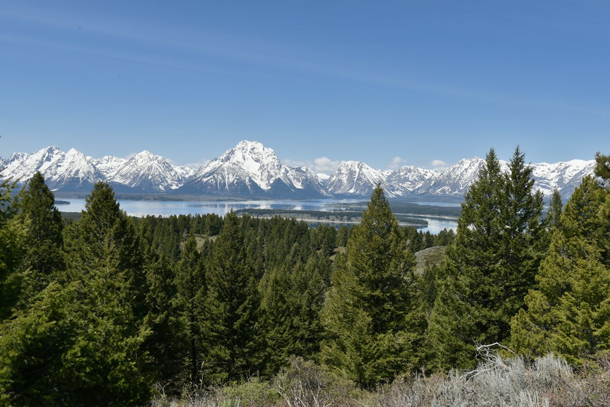 Signal Mountain Summit Mountains and a lake as seen from an elevated viewpoint.