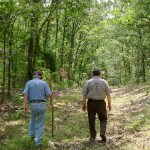 Two people retrace the trail through a deciduous forest