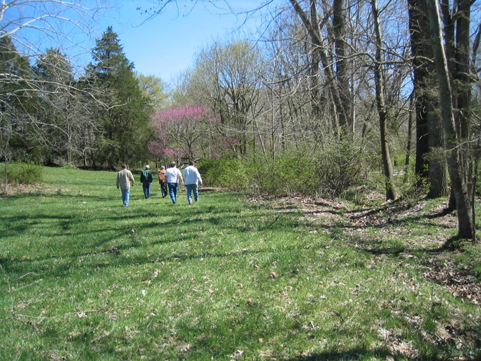 5 people walking a grass path surrounded by trees 5 people walking a grass path surrounded by trees
