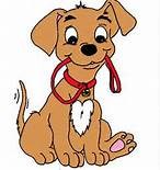 LEASHED PET LEASHED PET